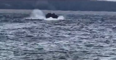 Спецразведка вывела из оккупации партизана, которого пытали за помощь ВСУ: "вырвали из лап" РФ (видео)