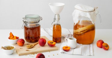 Что такое комбуча: 8 полезных свойств ферментированного чайного напитка