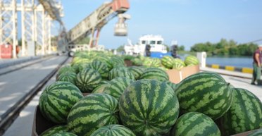 Від 5 до 15 грн: в Україні подешевшала популярна ягода