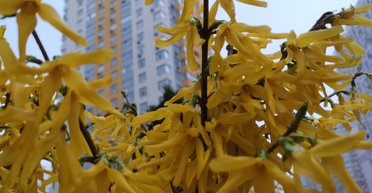 Налог на недвижимость. Кого в 2023 году освободили от уплаты, а кому нужно платить