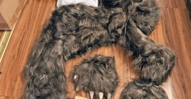 Мужчина надевал костюм медведя и нападал на автомобили: зачем он это делал