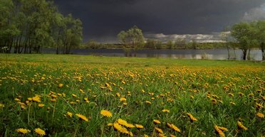 Летнее тепло и грозовые дожди: синоптики рассказали о погоде в Украине 29 мая (карта)