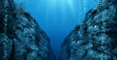 Не монстр і не золото: камера зафіксувала тривожну знахідку на дні океану (відео)