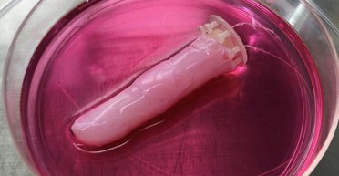 Сделанный из человеческих клеток: ученые создали роботизированный палец с живой кожей