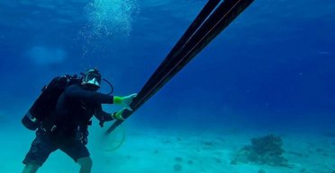 В Балтийском море повреждены два интернет-кабеля: подозревают диверсию