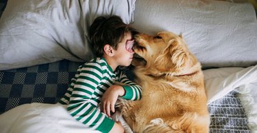 Подружатся с каждым ребенком: топ пород собак, которых лучше всего держать дома (фото)