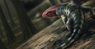 Теорія еволюції виявилася неправильною: знайдено сліди на камені, що випереджають події на 35 млн років