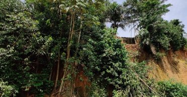 Большая ошибка ученых: исследование обнаружило следы людей 150000-летней давности в тропических лесах