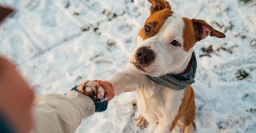 Температура підніметься до +10°:  якою буде погода завтра і коли чекати морози, — Діденко