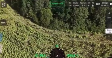 ВС РФ захватили бойцов ВСУ в Курской области, а затем вместе с ними сдались в плен (видео)