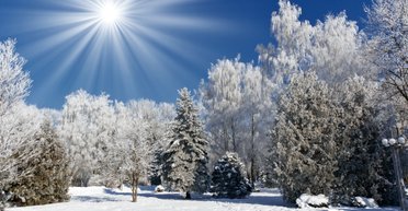 Морози в Україні ослабнуть: синоптики розповіли, коли потеплішає