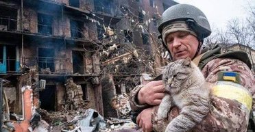 Під замком. Як врятувати від голодної смерті зачинених у квартирах тварин