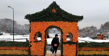 Апельсины на снегу. Кто правит в киевском "Цитрусовом королевстве"