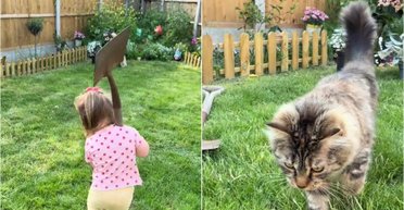 Дівчинка зробила порядок на подвір'ї: ніхто не був готовий до того, що в неї вийде (фото)