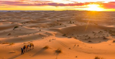 Пустелям на Землі загрожує криза, якої не чекали: їх може затопити повенями