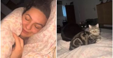 "Повна окупація": жінка з чотирма котами та собаками показала своє ліжко вночі (відео)