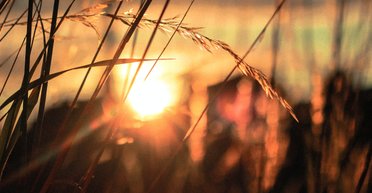 У Британії проведуть ризикований експеримент: учені хочуть затемнити Сонце (фото)