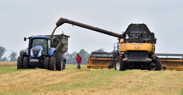 Новый запрет для украинской продукции в ЕС: что ждет фермеров и аграриев