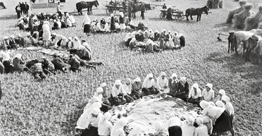 Земельная мощь. Как олигархи-аграрии прошлого влияли на политическую жизнь Украины