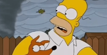 "Симпсоны" предсказали смертельный ураган во Флориде: фанаты ошеломлены схожестью с реалиями