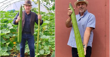 Самые большие в мире: мужчина вырастил гигантские фрукты и овощи рекордных размеров (фото)