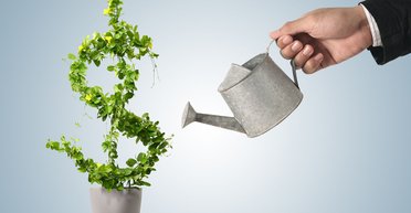 Болезни роста. Что думают об Украине международные инвесторы