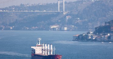 Украли 55 тысяч тонн: в Сирию прибыли балкеры РФ с украинским зерном (фото)