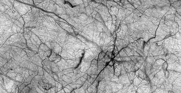 Як торнадо на Землі: NASA показало знімок руху пилових дияволів на Марсі (фото)