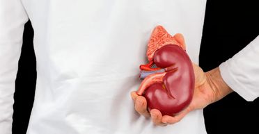 Впервые в истории ученые изменили группу крови донорского органа: как это возможно