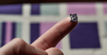 Подглядывали в ванной и туалете: хозяева дома испортили девичник арендаторам (видео)