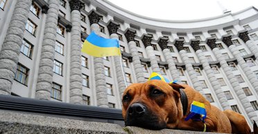 Борьба части и целого. Почему маленькие успехи не всегда ведут к большим победам