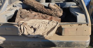 На Николаевщине мужчину оштрафовали за незаконную перевозку дров: сколько он заплатит