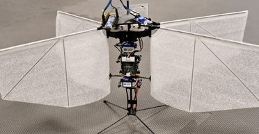 Дрон-мотылек может следить за людьми, оставаясь незамеченным: работает без ИИ и GPS