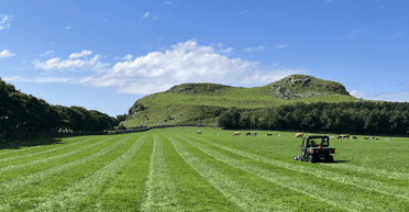 Эксперимент был успешным: археологи подтвердили открытие волонтеров в Норвегии