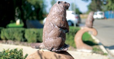 Чтоб все так жили. История украинского села, которое стало богатым благодаря его жителям