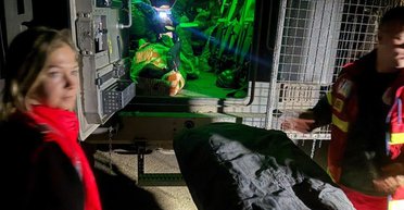 У Куп'янську на порозі школи підірвалася волонтерка: деталі