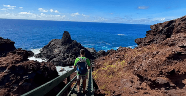 Безкоштовний переїзд: жителі віддаленого райського острова запрошують людей (фото)