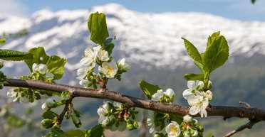 Буде дискомфорт: прогноз погоди в Україні наприкінці лютого та на початку березня (карта)