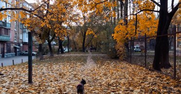 В Киеве будет солнце, но с туманом: синоптик озвучила прогноз погоды для Украины на завтра