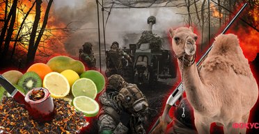 Верблюдовод важнее инженера ВПК? Каких работников могут забронировать от службы в ВСУ