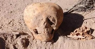 Робітники в Аргентині знайшли рештки "людини-мурахи": її череп має незвичайну форму