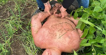 В Днепре избили экс-военного KRAKEN: полиция установила причастных к нападению (фото)