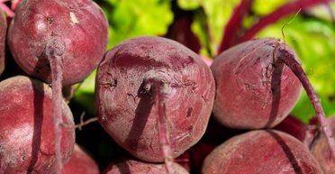 Ждать час, пока сварится свекла, не придется: овощ может быть готовым за 5 минут