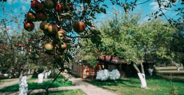 День памяти. Чему учат нас родители, пережившие самое страшное