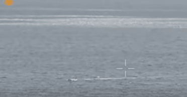 Пытался атаковать порт: возле Одессы уничтожили российский морской дрон (видео)