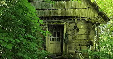 Украинец нашел в Карпатах заброшенную усадьбу: что он увидел внутри (фото)