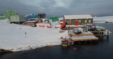 Купание на Антарктике: украинские исследователи показали как праздновали Мидвинтер (фото)