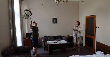 Забыли закрыть окно: в Чехии номер с туристами заполонили летучие мыши (фото)