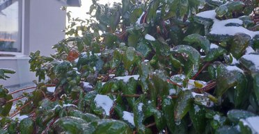 Сохраняются морозы до -28: Диденко рассказала, когда ожидается потепление в Украине