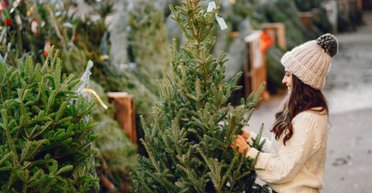 "Новий страх": пара купила живу ялинку на Різдво і була шокована тим, що в ній живе